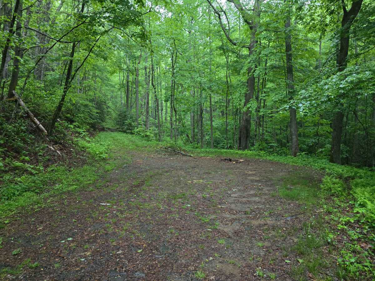 Three Fork Gap photo 5