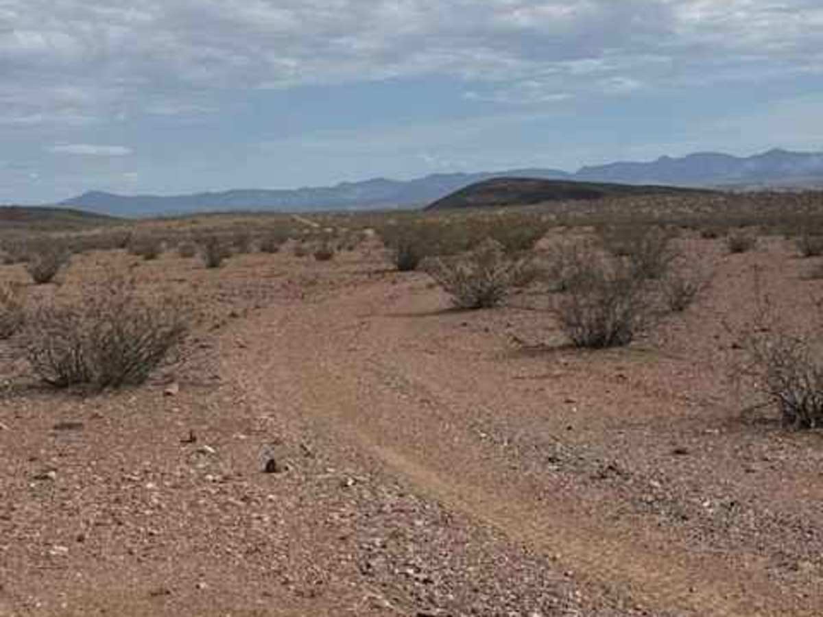 BLM PE1220 trail photo