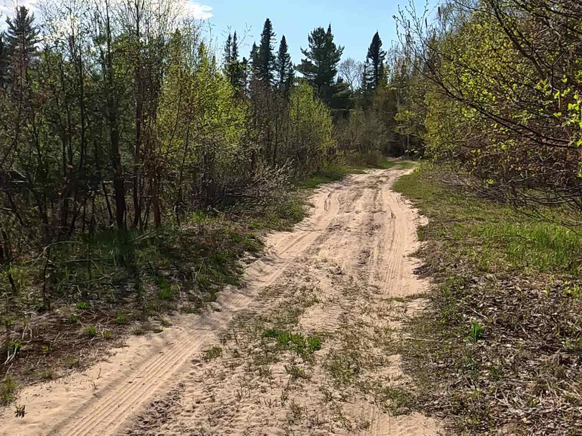 North Beaver Road - West trail photo