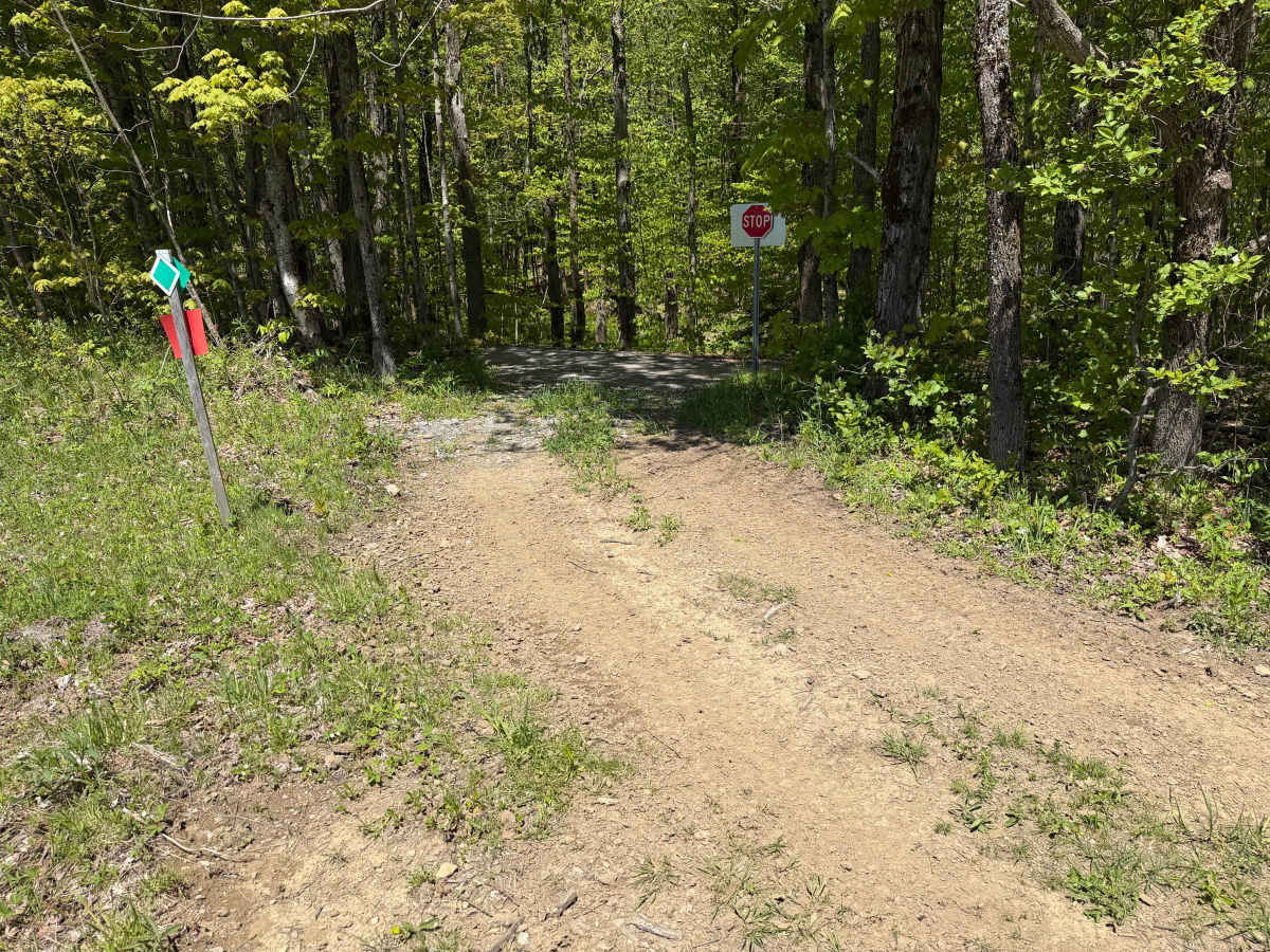Pollock Run Trail photo 6