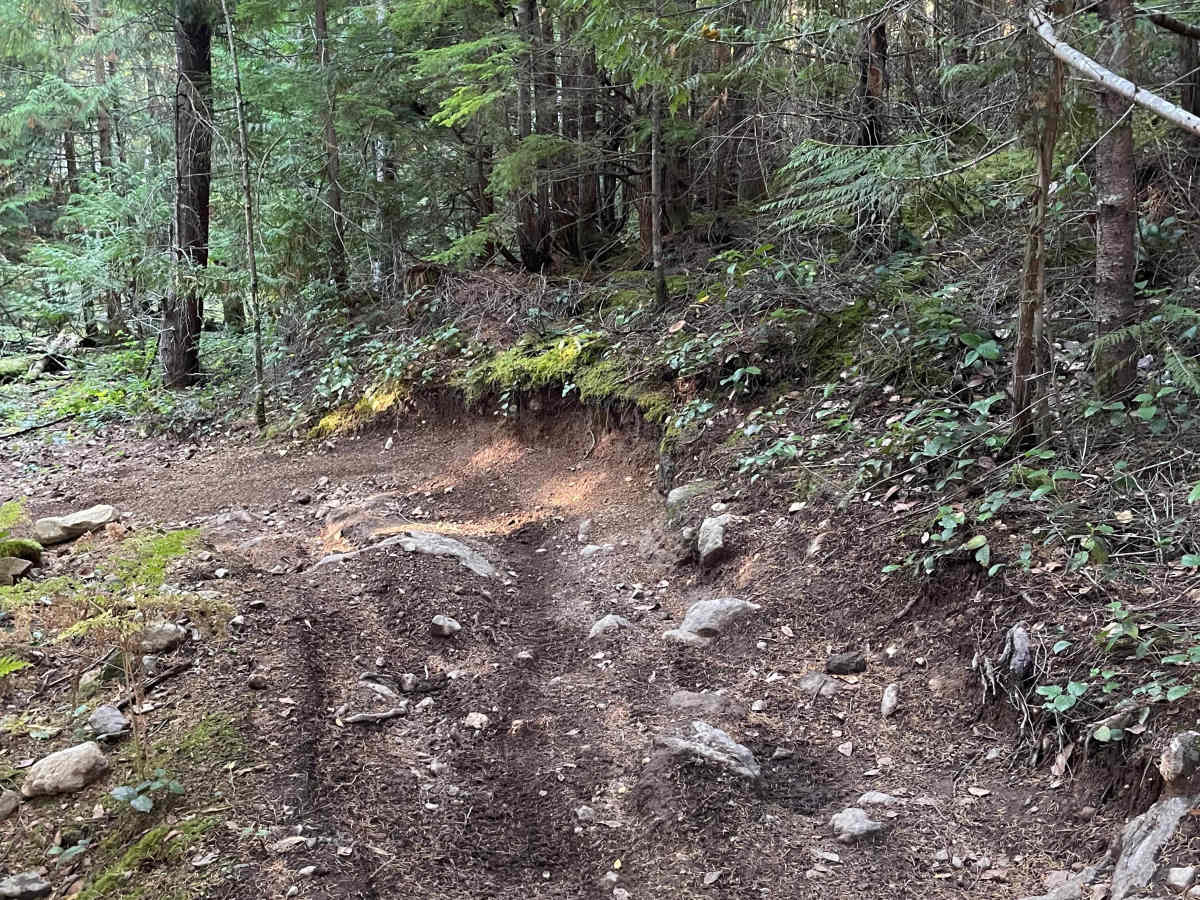 Deep Woods Part 2 photo 3