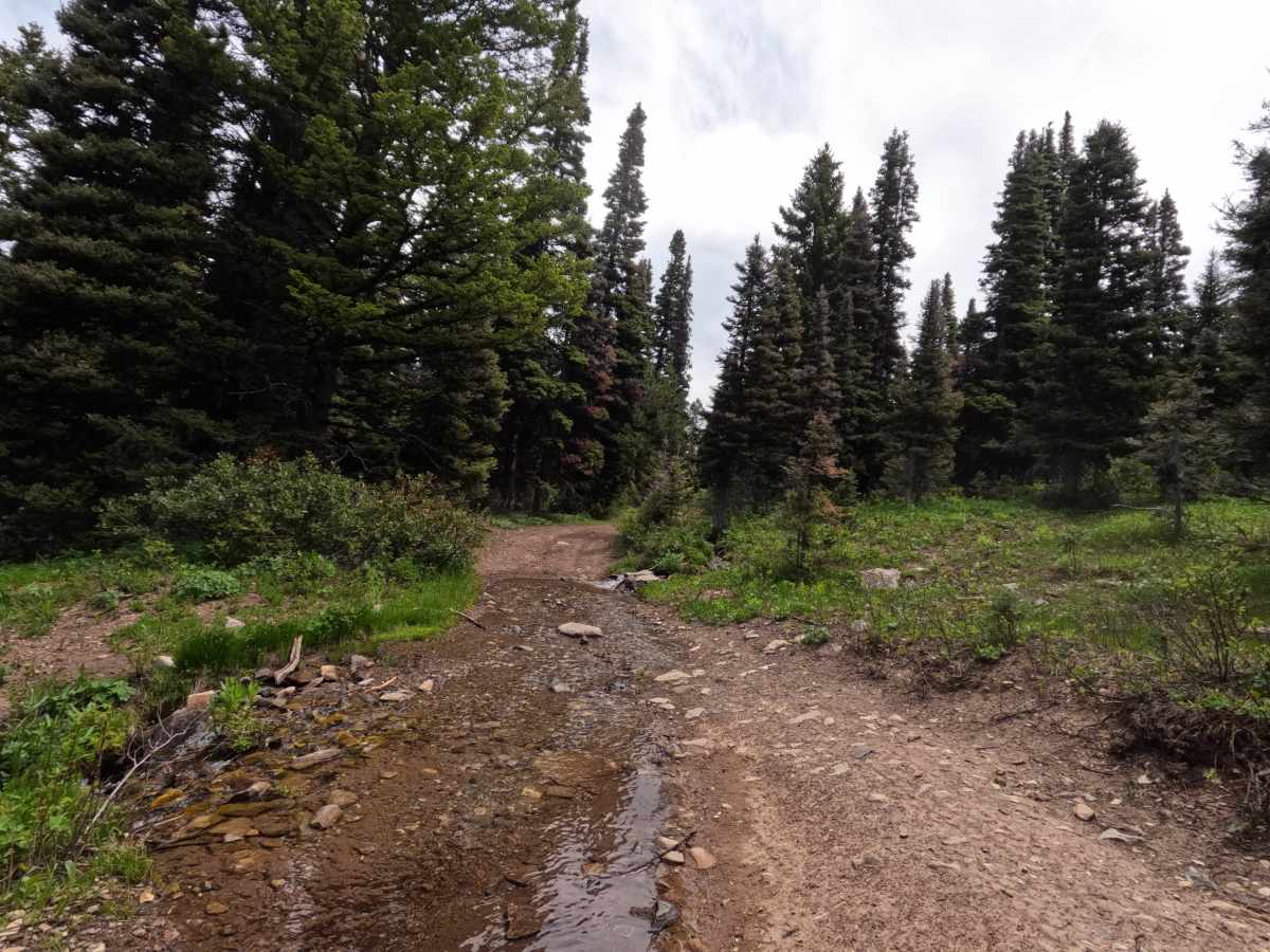 Monte Cristo Mine photo 4