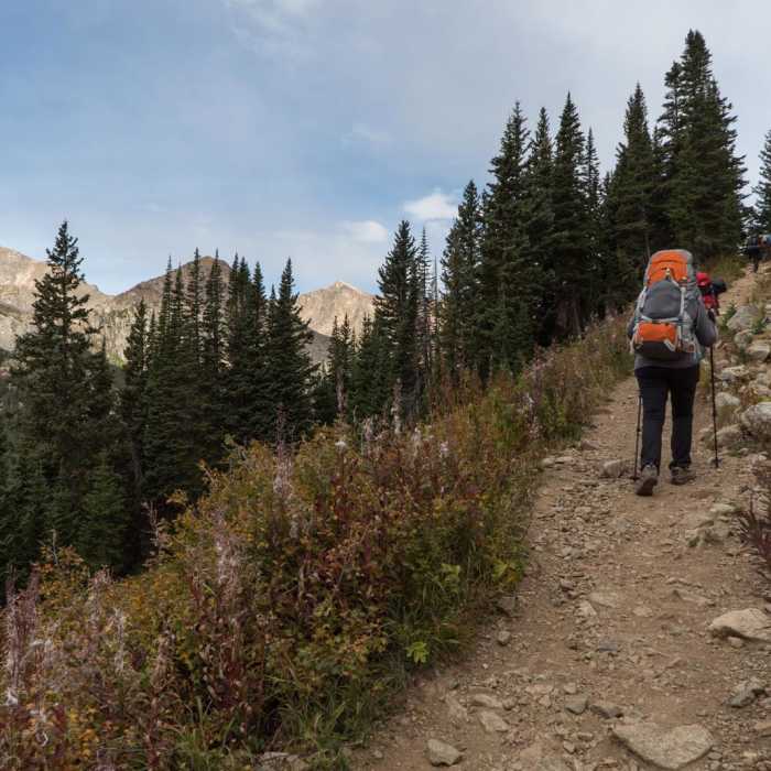 Near Neva Backcountry Zone