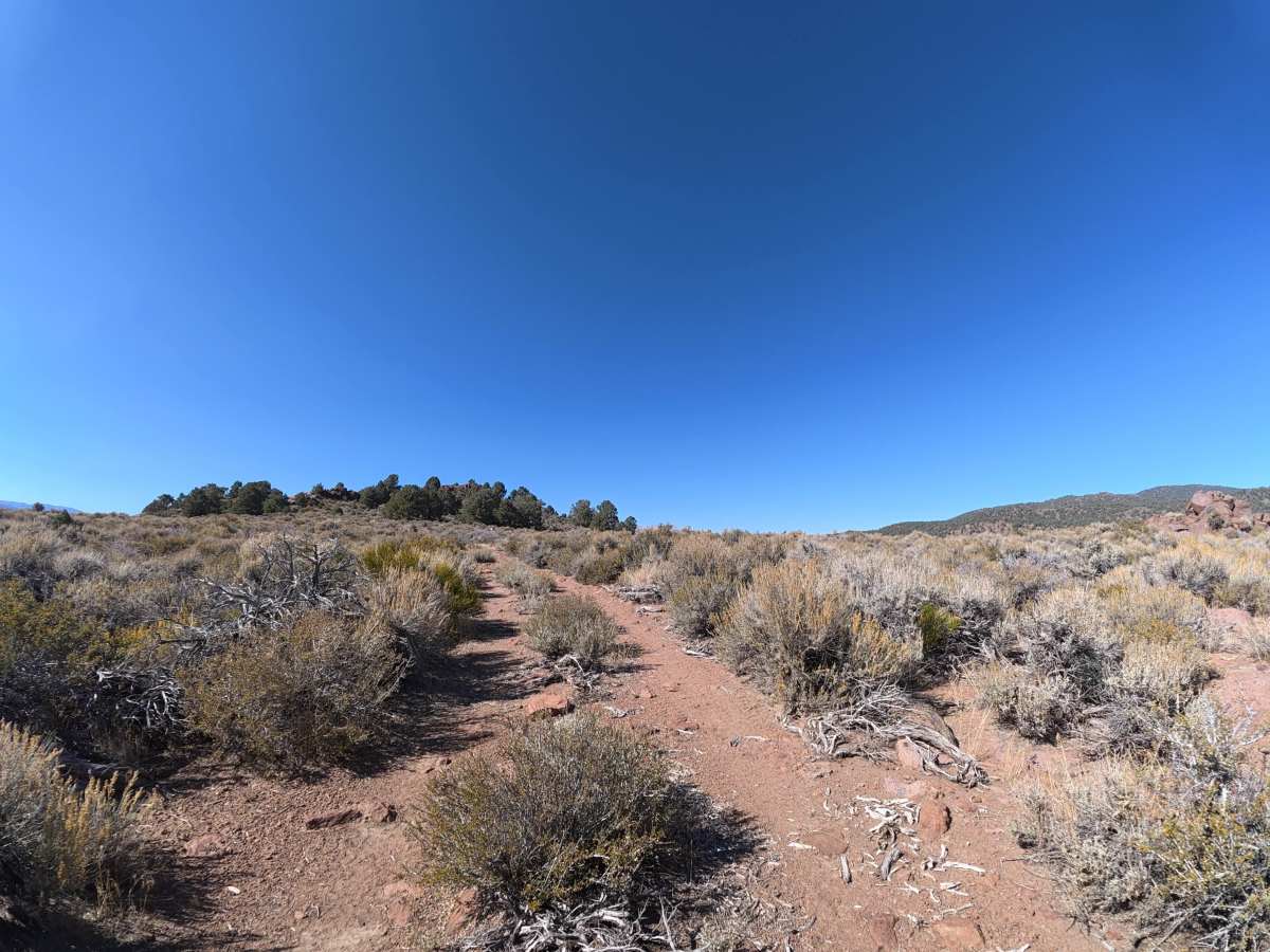 Dog Town Spur C photo 4