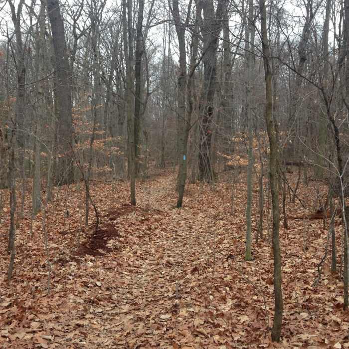 Near Slippery Rock Gorge Trail