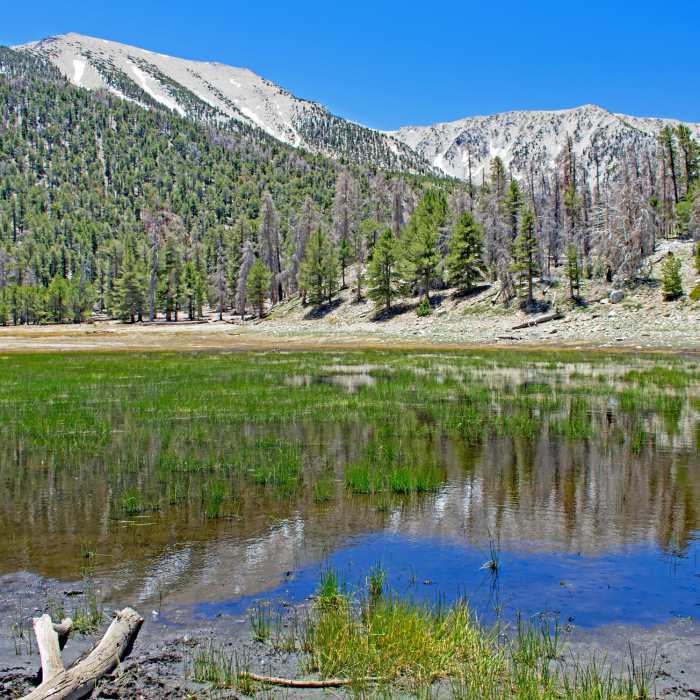 Near Dry Lake Trail