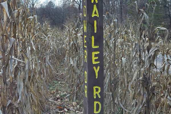 Railey Road