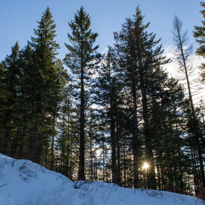 Near Gold Hill Trail #3