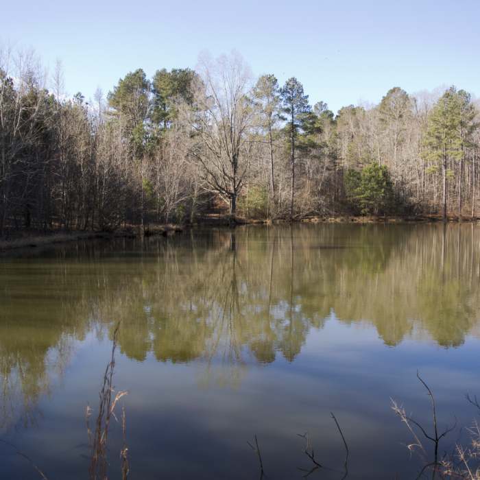 The pond along the Sowell Trail in January 2015 Near Sowell Trail