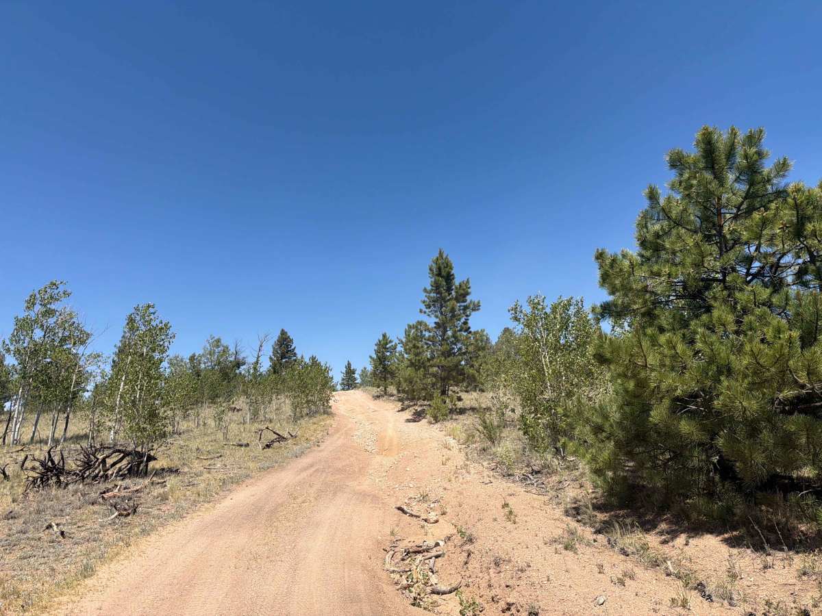 Great View Road - FS 245 photo 3