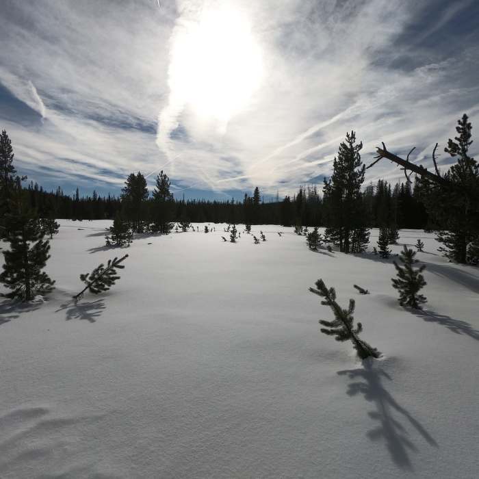 View south across Swampy Lake towards Swampy Shelter (1-14-2022) Near Swampy Lakes Loop