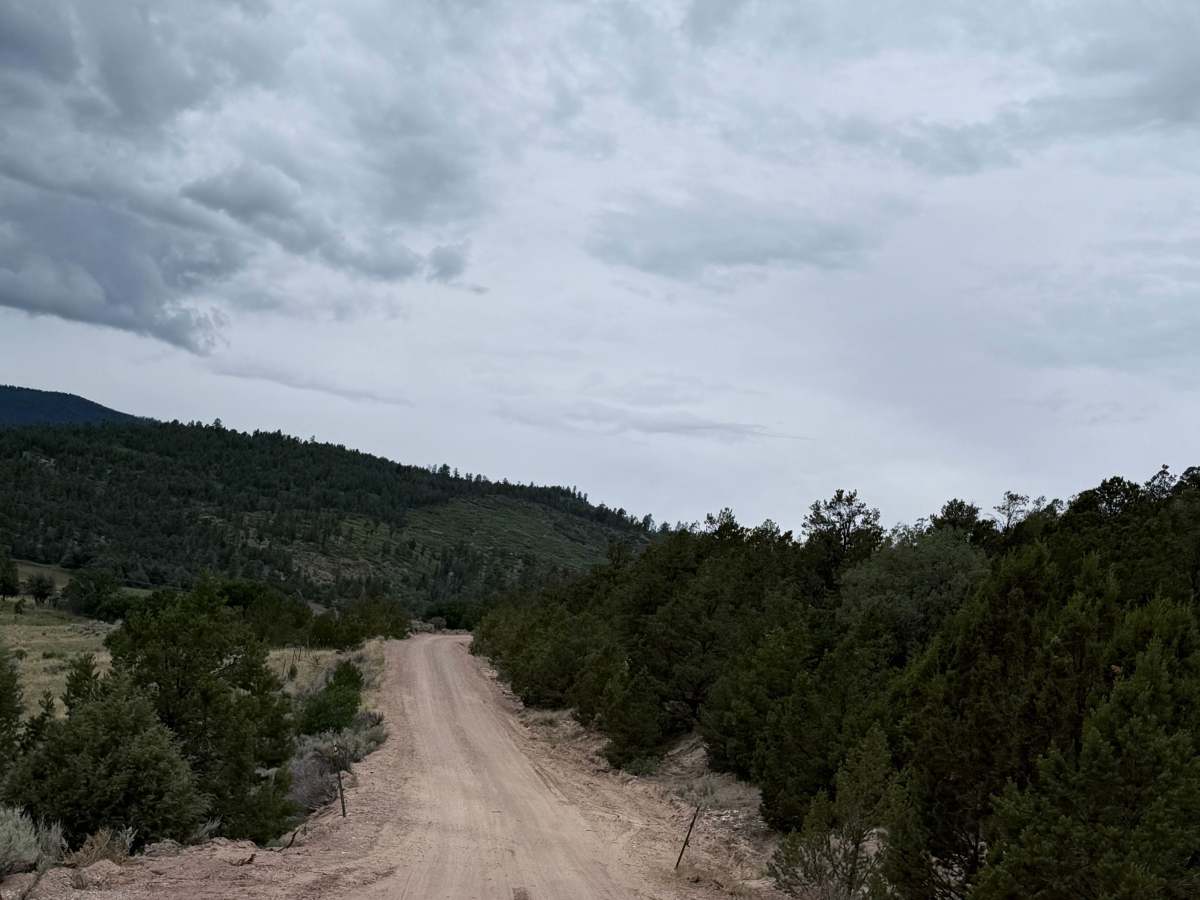 Capulin - FS 76 photo 3