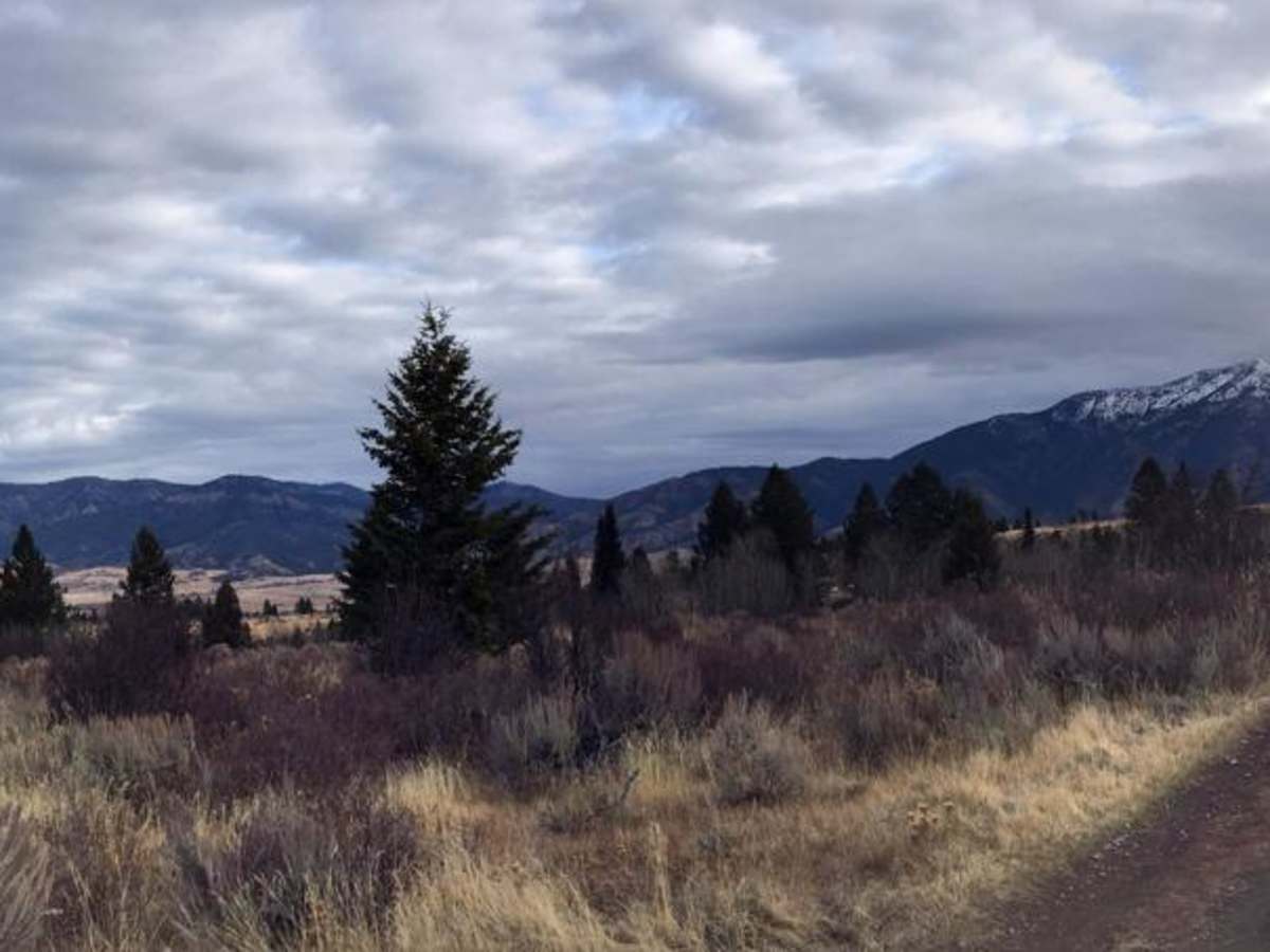 Red Ridge photo 2