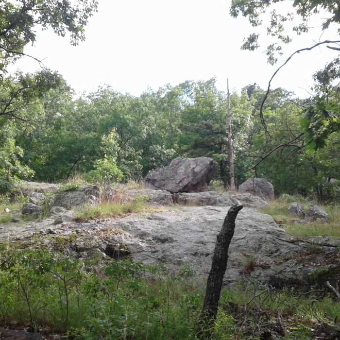 Glade outcrop along the Ozark Trail. Near Stegall Mountain Fire Tower