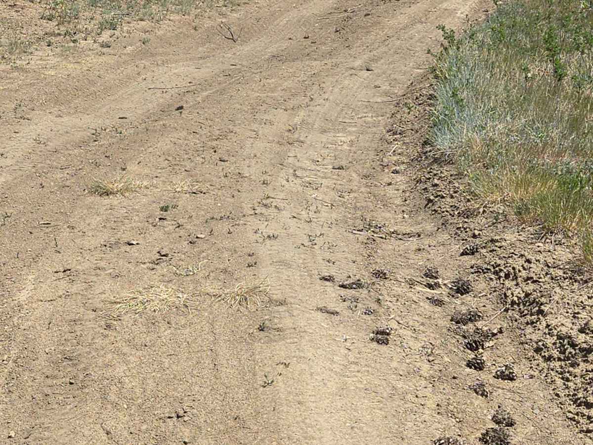 Bull Creek Trail - FS 682 photo 5