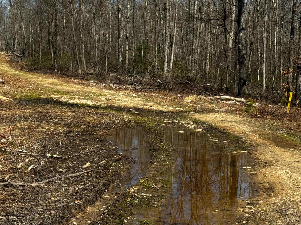 Rock Run Trail photo 4