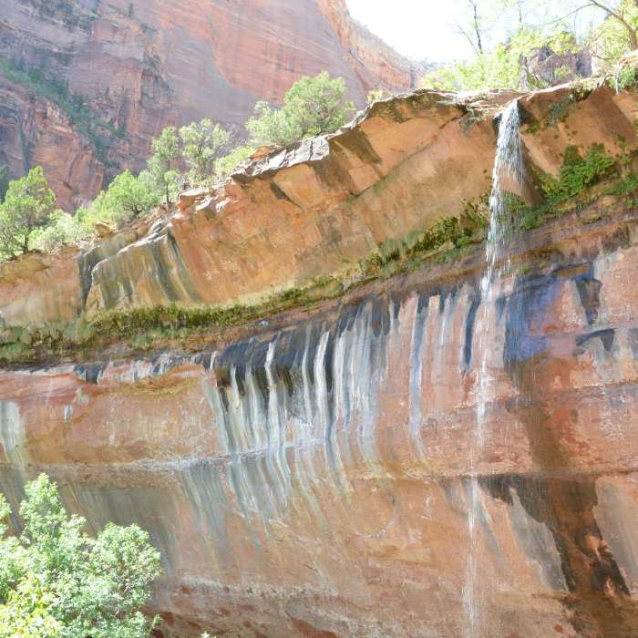 Near Lower Emerald Pools Trail