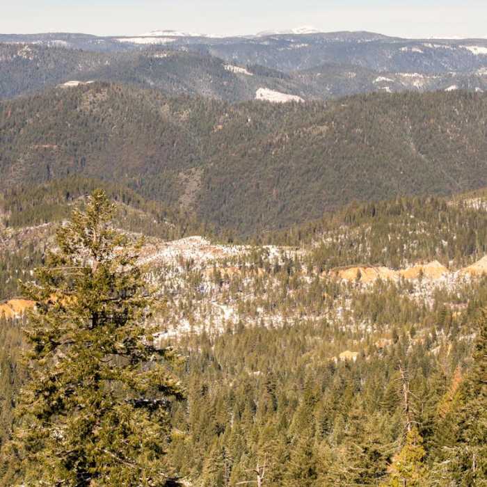 Near Omega Diggins Overlook Hike