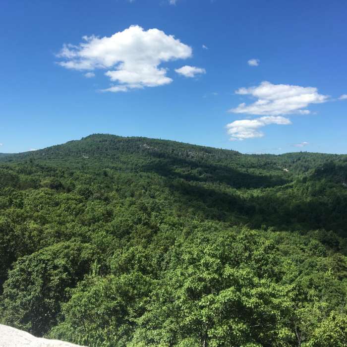 Near Shawangunk Ridge Trail: Peterskill Section