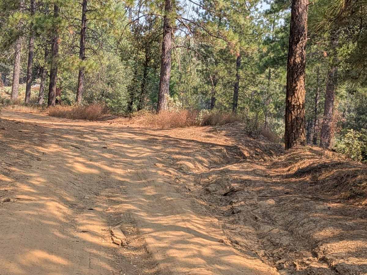 Wagner Ridge Road - FS 2S08 photo 3
