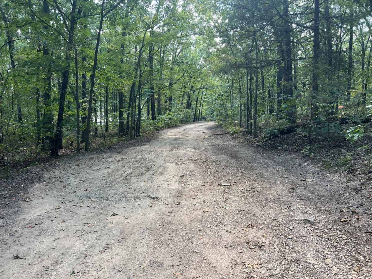 Rail Hollow photo 2