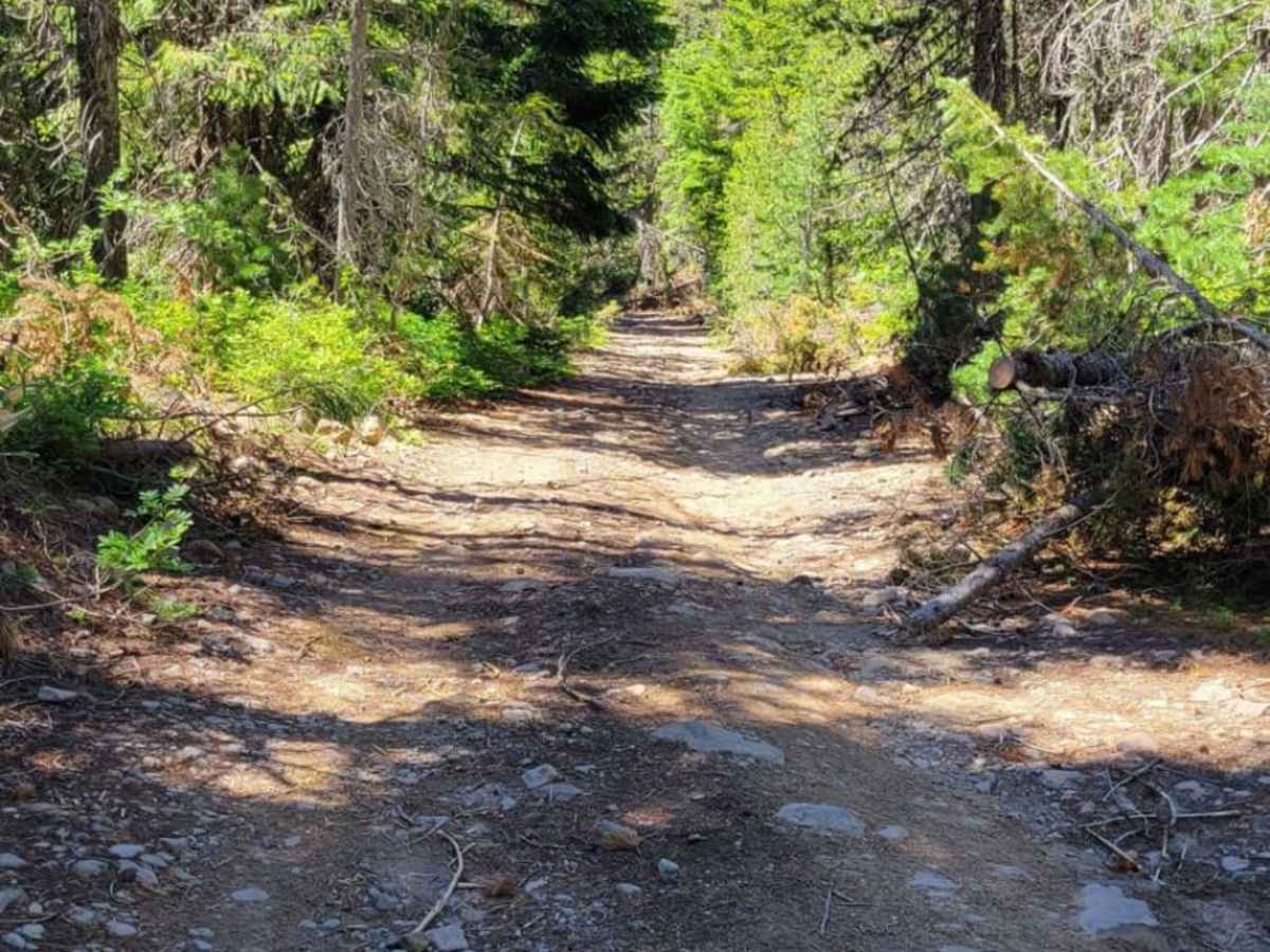 Sherar Burn Road photo 5