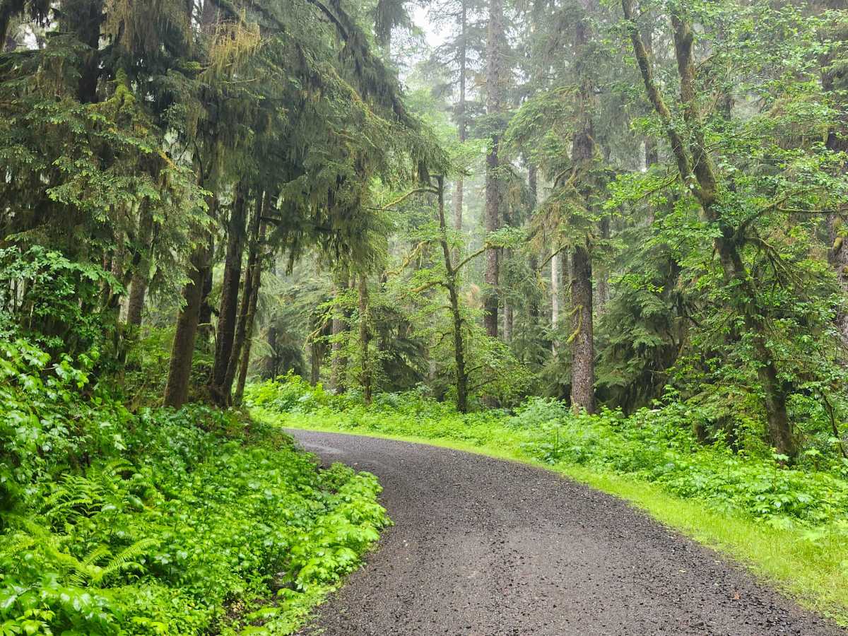 Cascade Head - FS 1861 photo 6