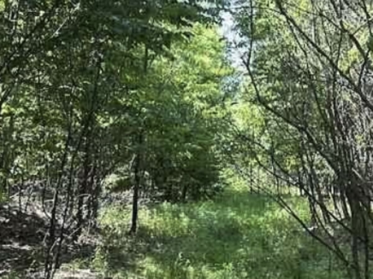5A photo 3