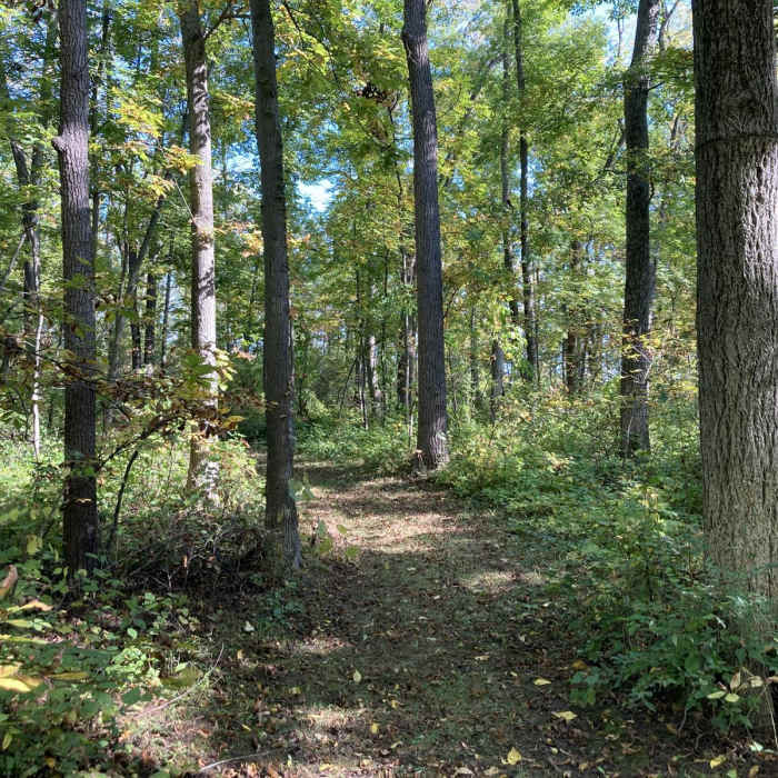 Near Vista Nature Loop Near Vista Nature Loop