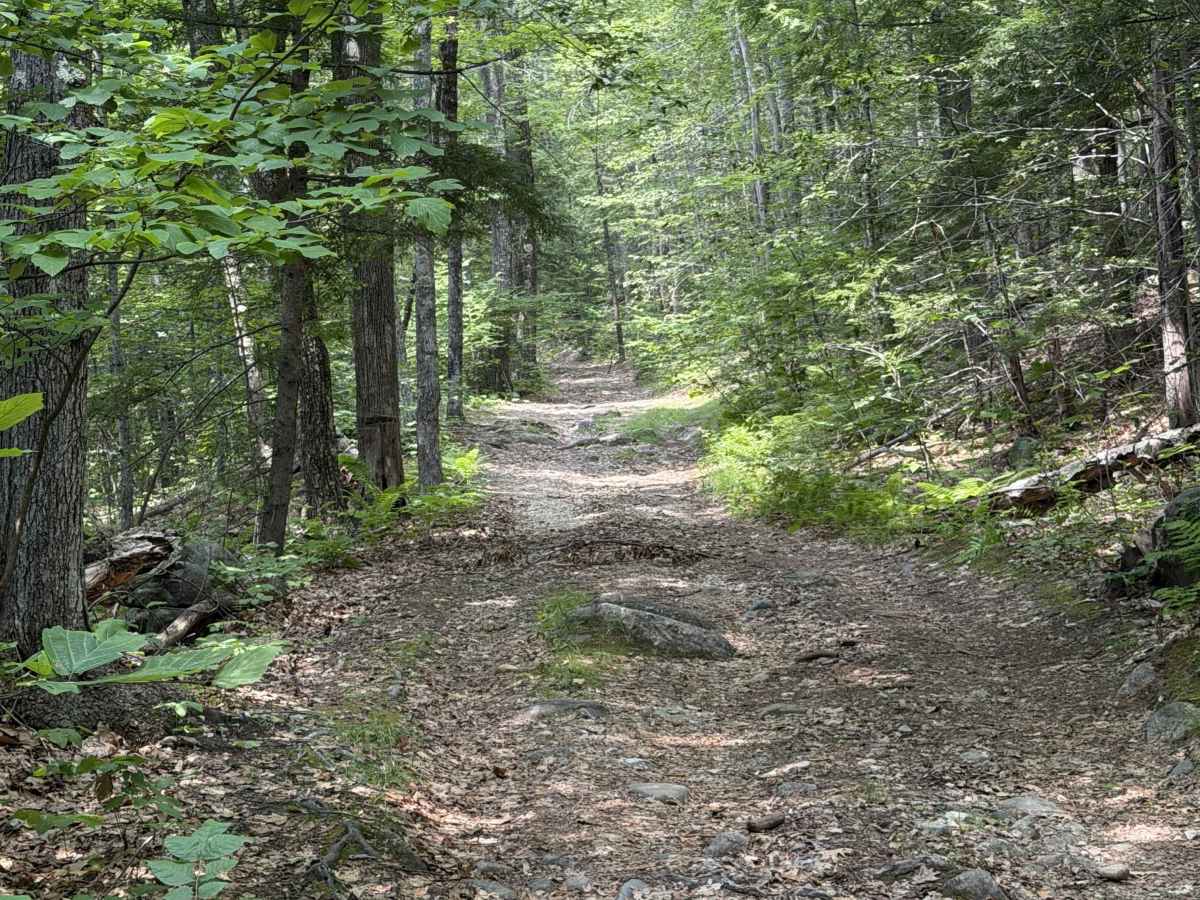 Collins Road photo 5