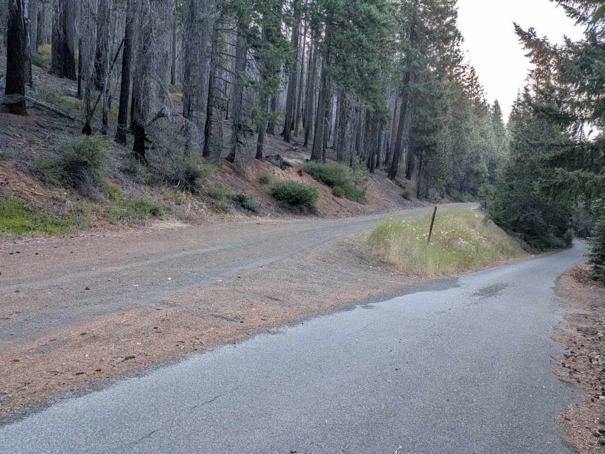 Big Lake Road - FS 5N09 trail photo