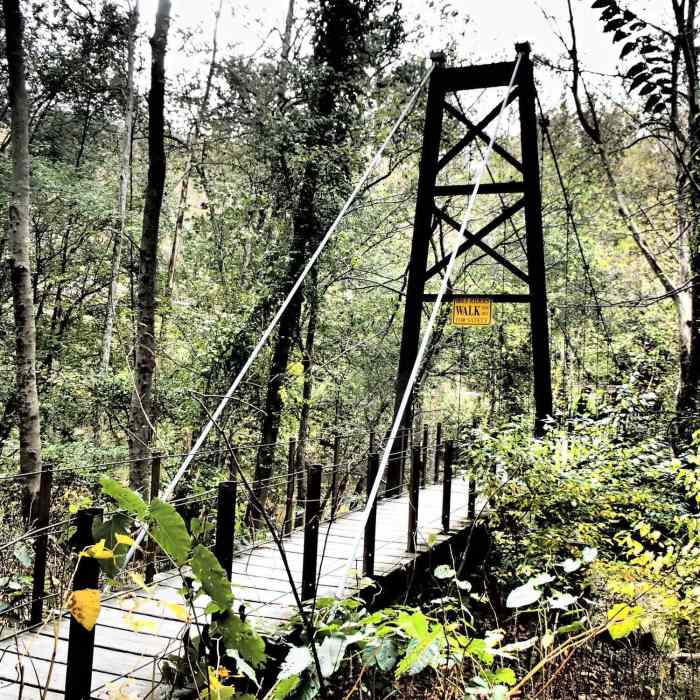 Near Grist Mill Trail