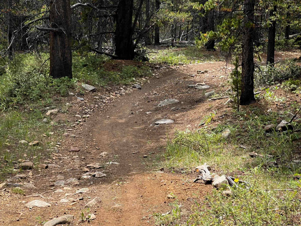 Almgren Trail #689 photo 6