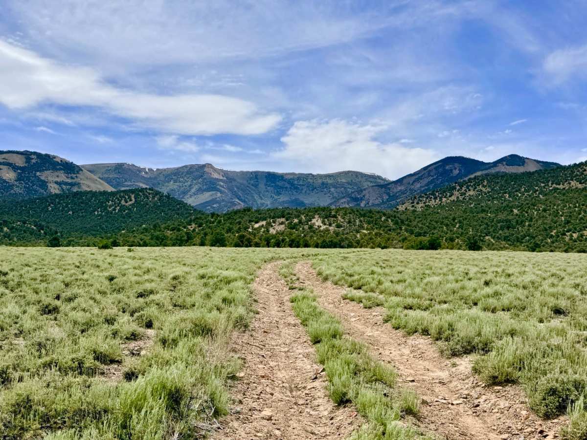 Sawmill Creek - FS 44425 trail photo