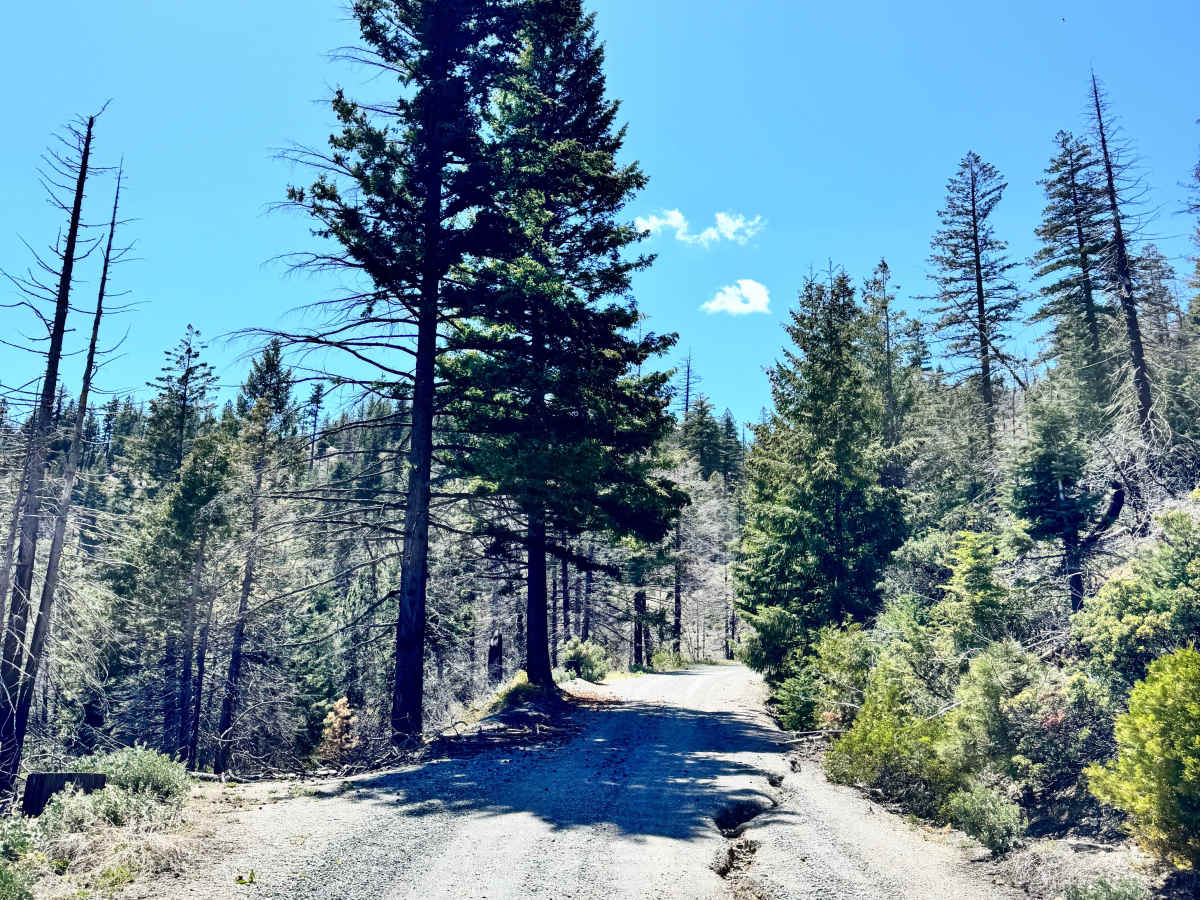 Road 311 photo 3
