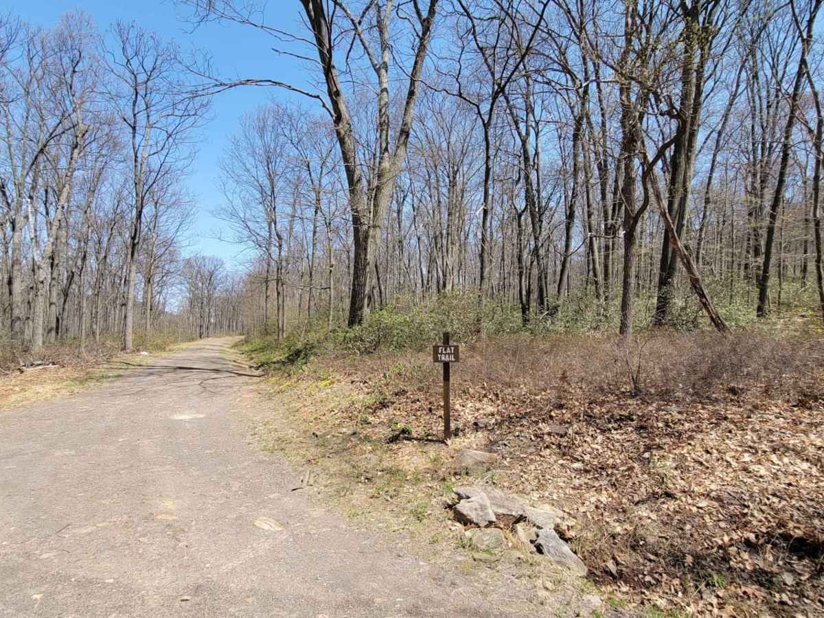 Flat Trail trail photo