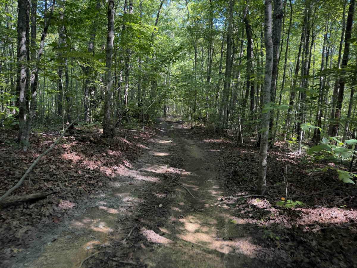Ridge Top Trail 32  photo 3