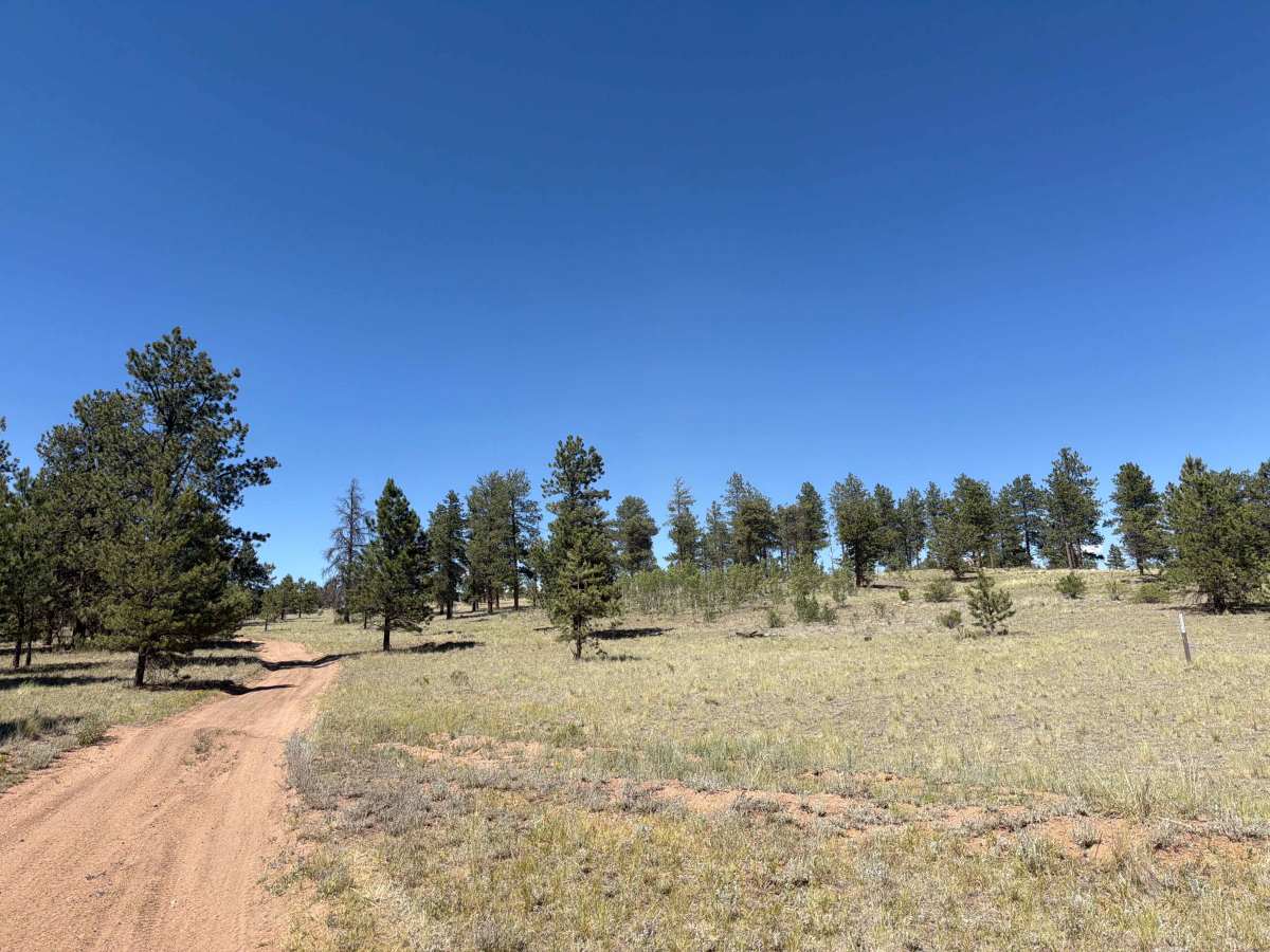Goose Chase Loop Road - FS 243.1A photo 2