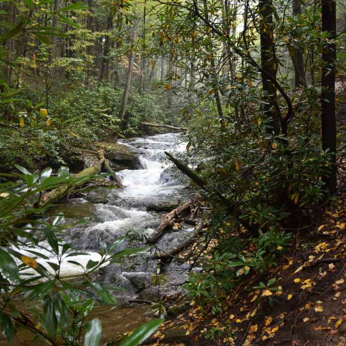 Near Raven Cliffs Falls