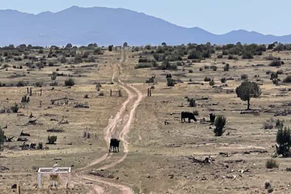Northern Pipe Line Road