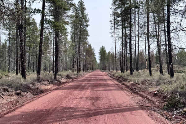 Kirk Road