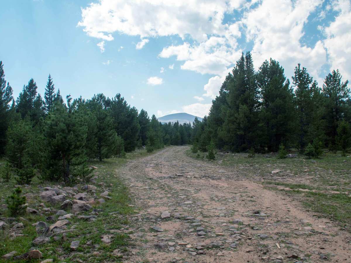 Ashley Twin Lakes Loop - FS 10027 photo 5