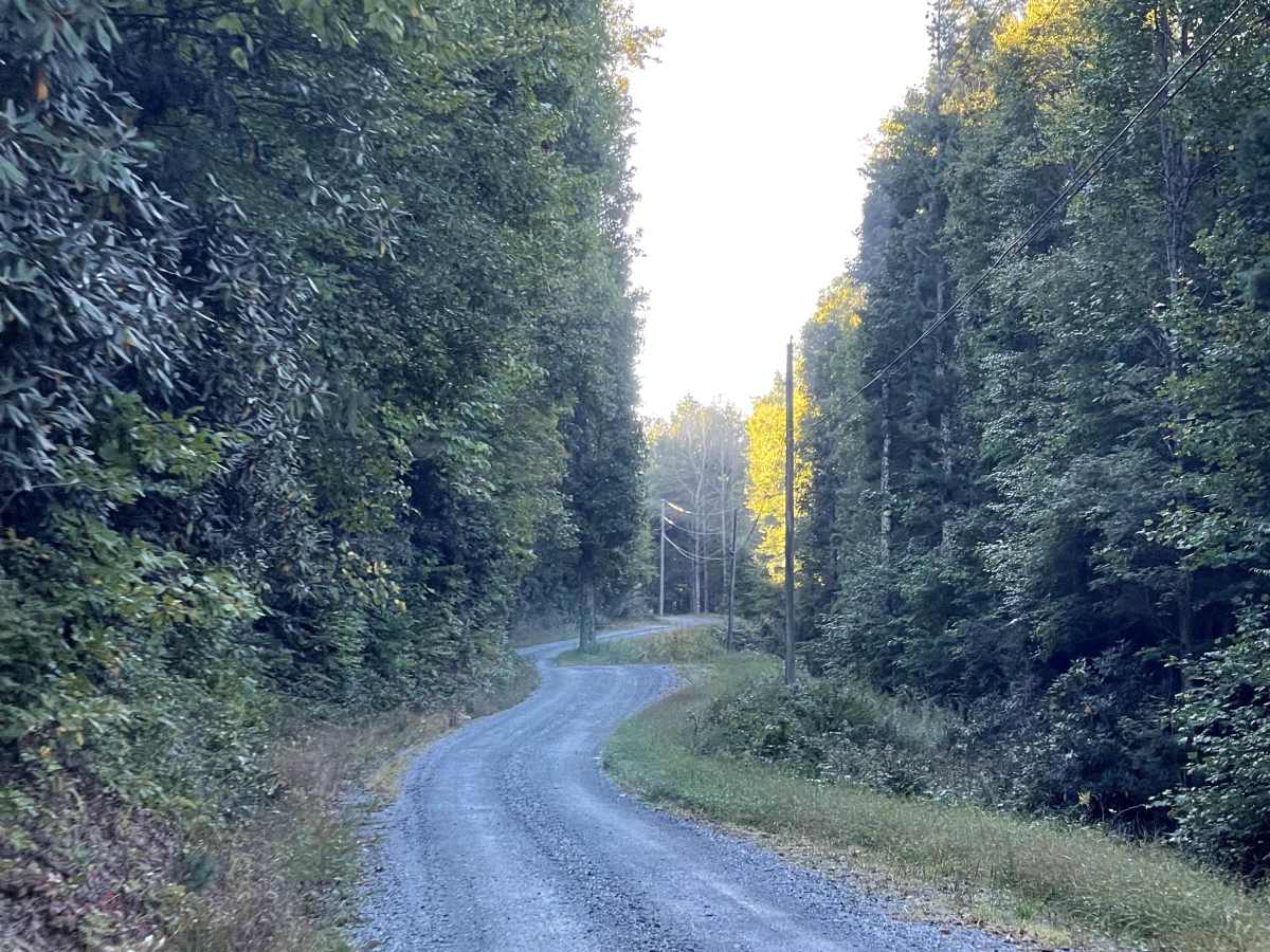 Rominger Road photo 5