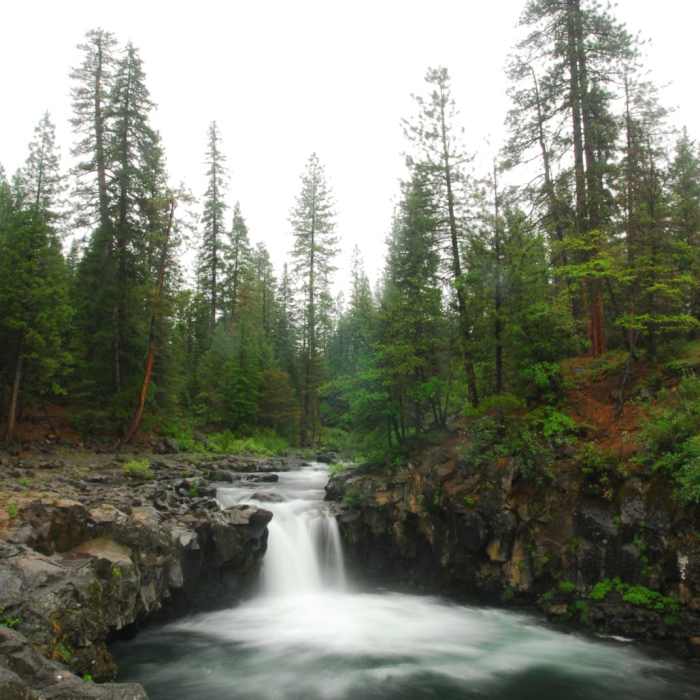 Near McCloud River Three Falls Hike
