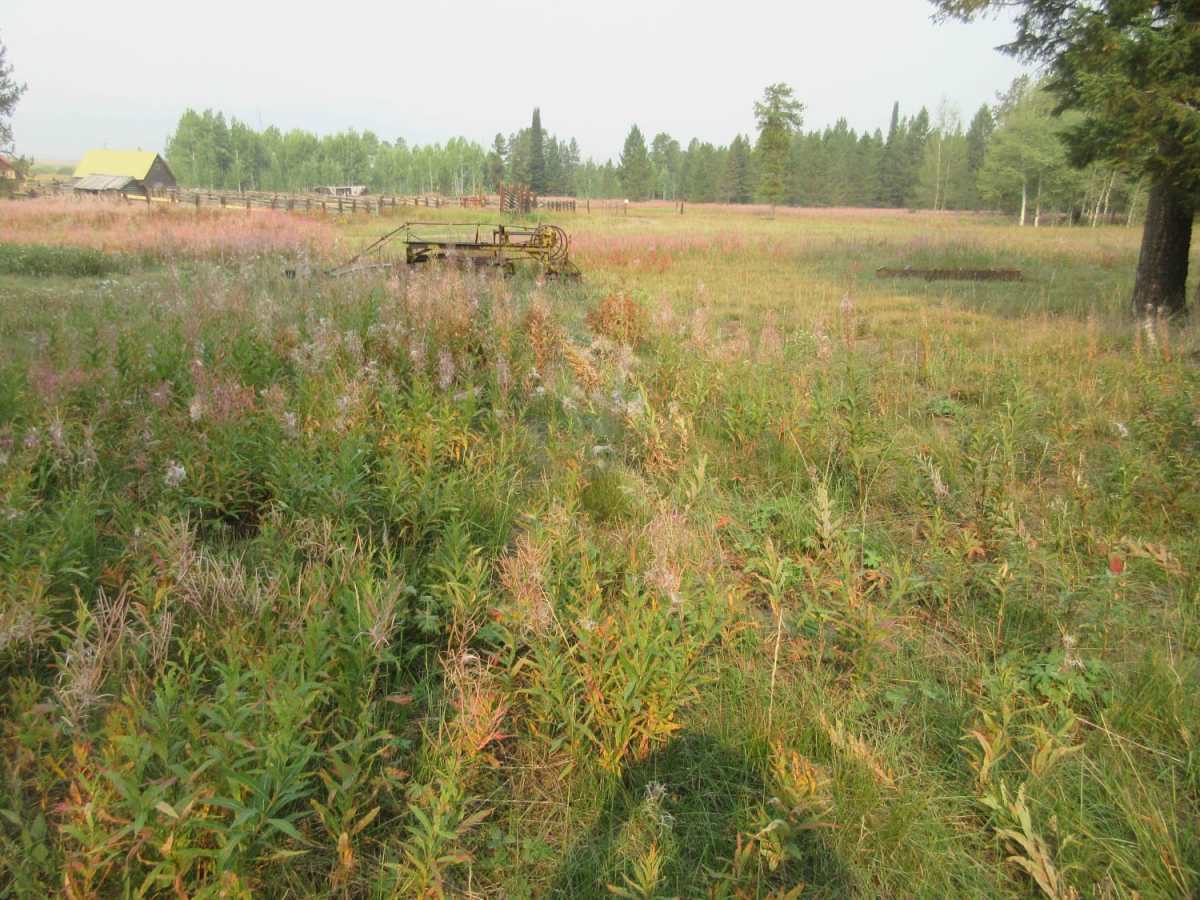 Meadow Creek Road photo 5