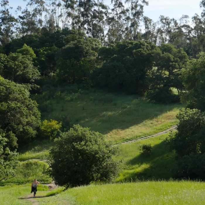 Near Westwood Hills Park