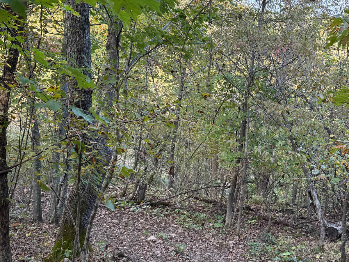 Why Not trail photo