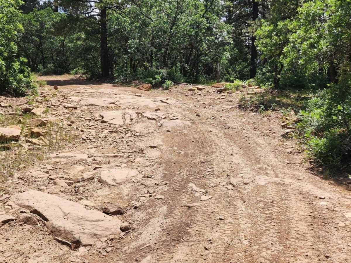 Chicken Creek Road trail photo