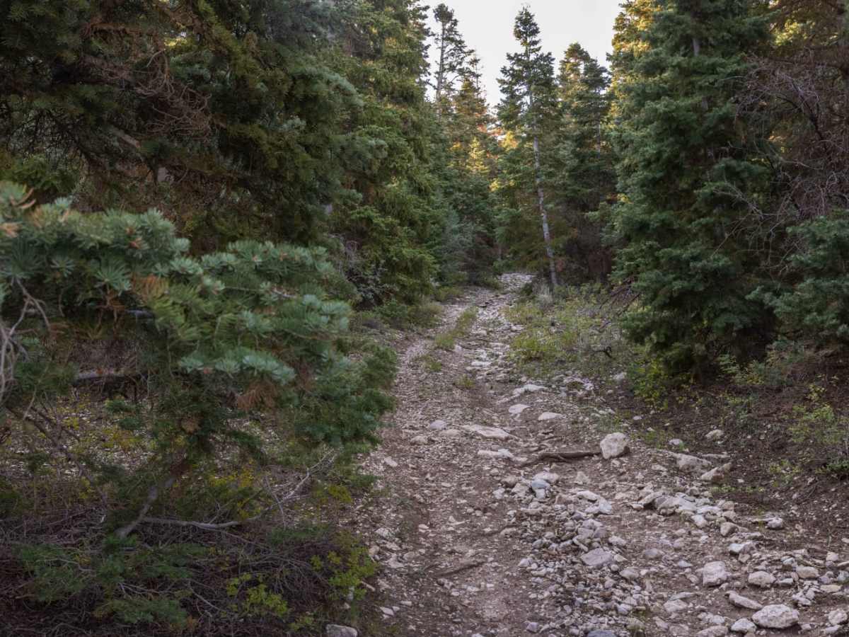 Beaver Creek Ridge photo 2