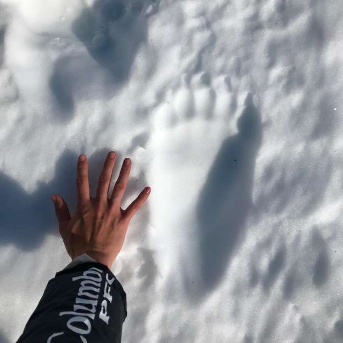 Near Crow Pass Trail to Crow Pass Cabin Near Crow Pass Trail to Crow Pass Cabin